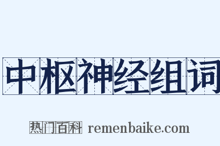 中枢神经组词是什么意思的图片